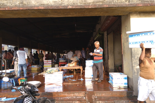 Fish Market